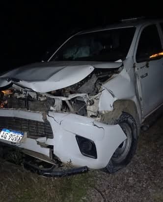 Animal vacuno provocó un accidente de tránsito a la altutra de la localidad de Donadeu
