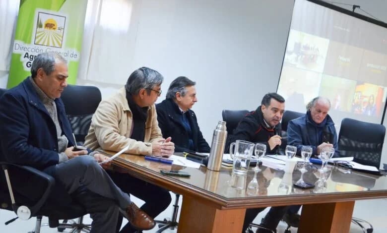 Coordinan nuevas acciones para fortalecer la sanidad ganadera de Santiago
